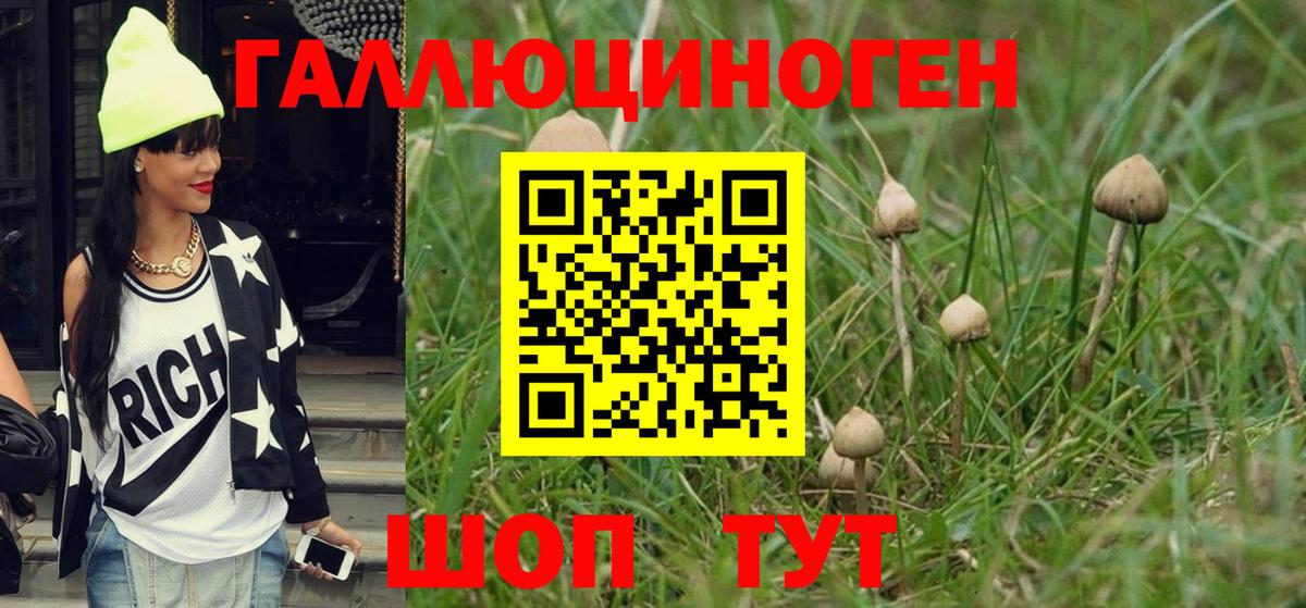 Тайшет  Псилоцибиновые грибы мухоморы  Вход с VPN 